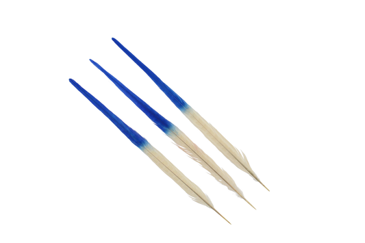 Pheasant Ringneck Bleached & Dyed 2 Tone 17-20" H33 Ivory & H17 Royal Blue