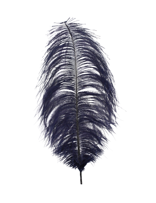 Ostrich Drabs 13-17" H24 Navy