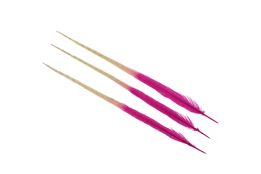 Pheasant Ringneck Bleached & Dyed 2 Tone 17-20" H70 Fuschia & H33 Ivory