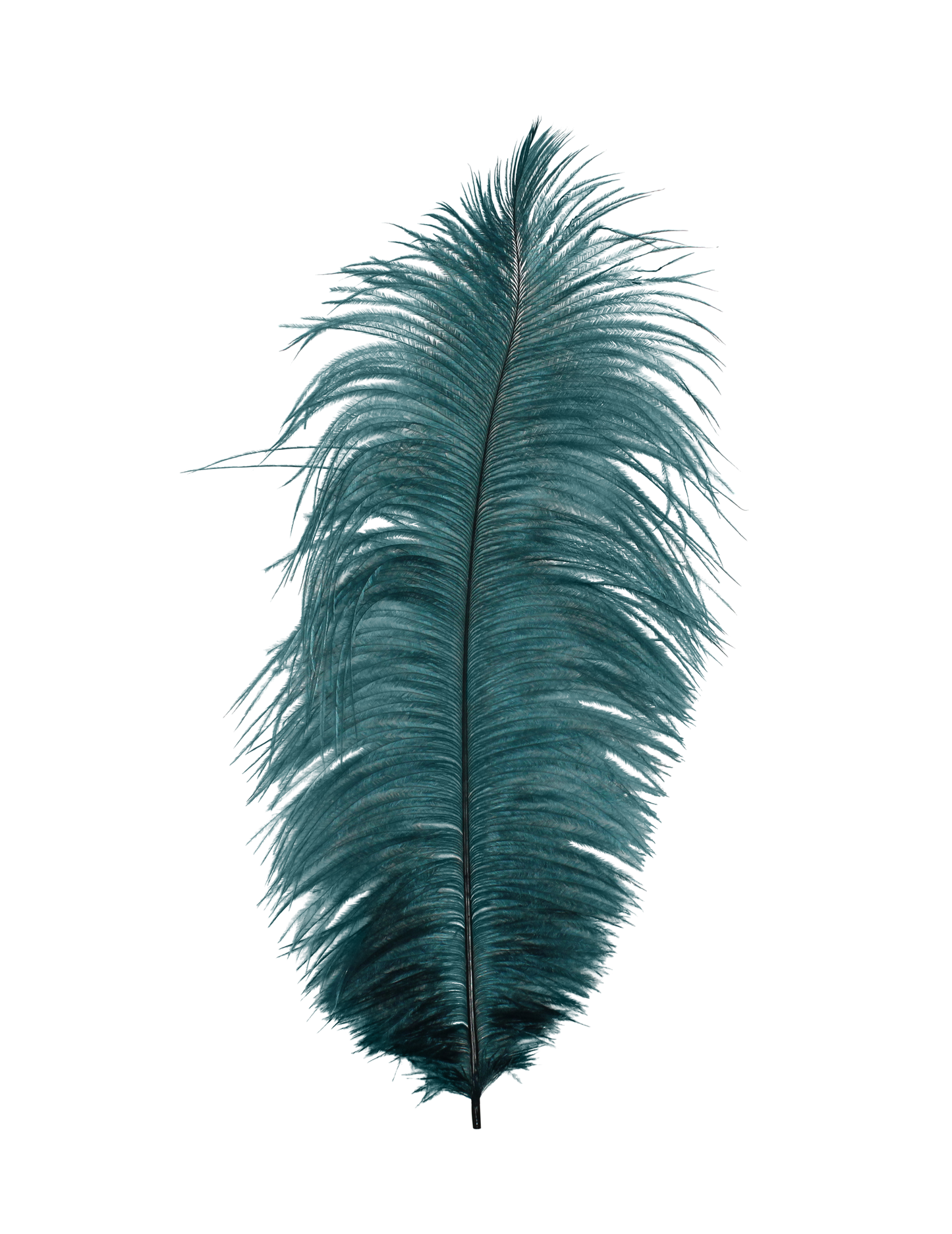 Ostrich Drabs 13-17" H4 Teal