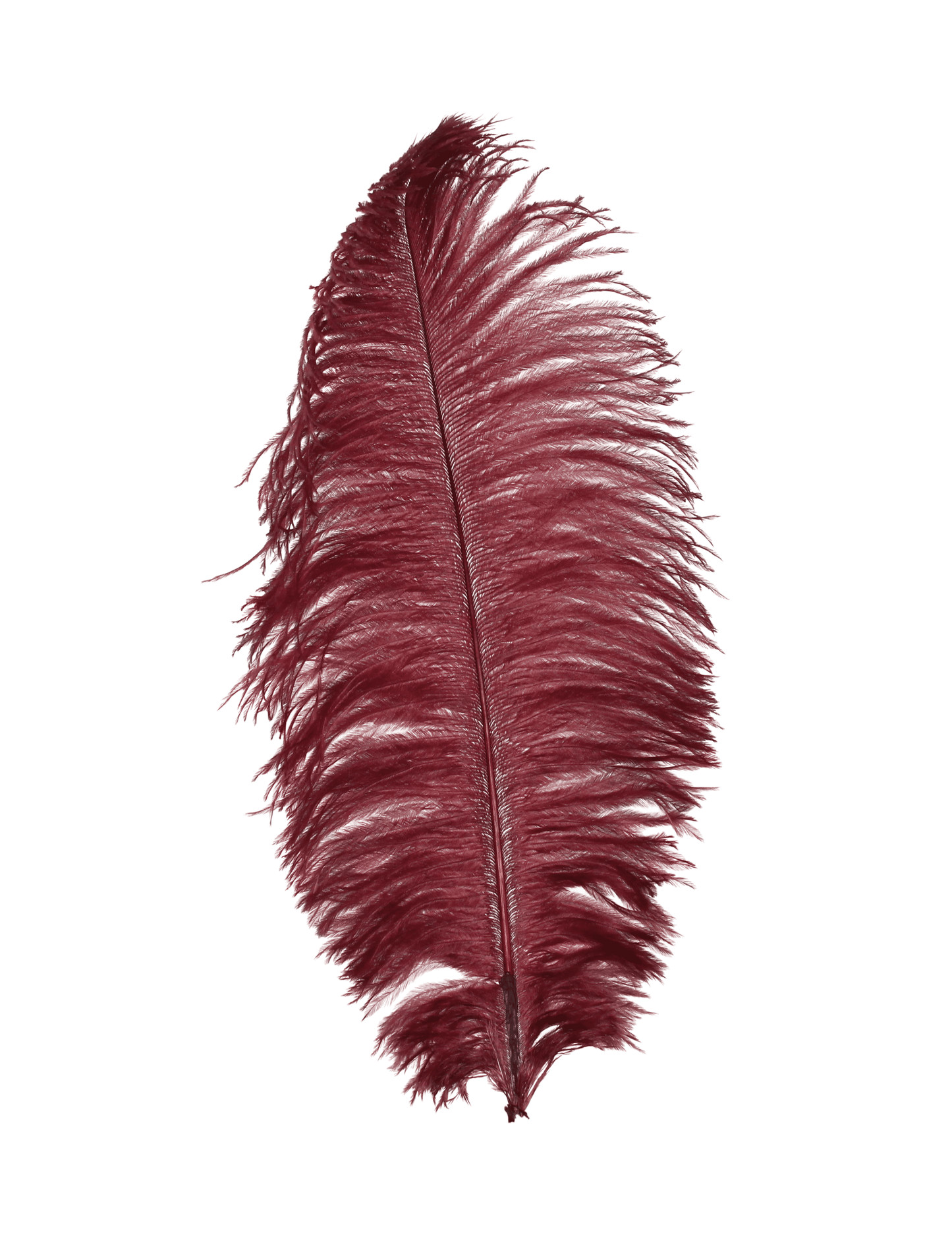 Ostrich Drabs 13-17" H54 Wine