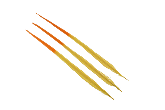 Pheasant Ringneck Bleached & Dyed 2 Tone 17-20" H62 Orange & H36 Yellow