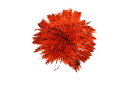 4-6" Grizzly Hackles Orange H62
