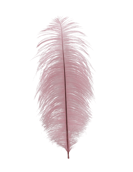 Ostrich Drabs 13-17" H64 Baby Pink