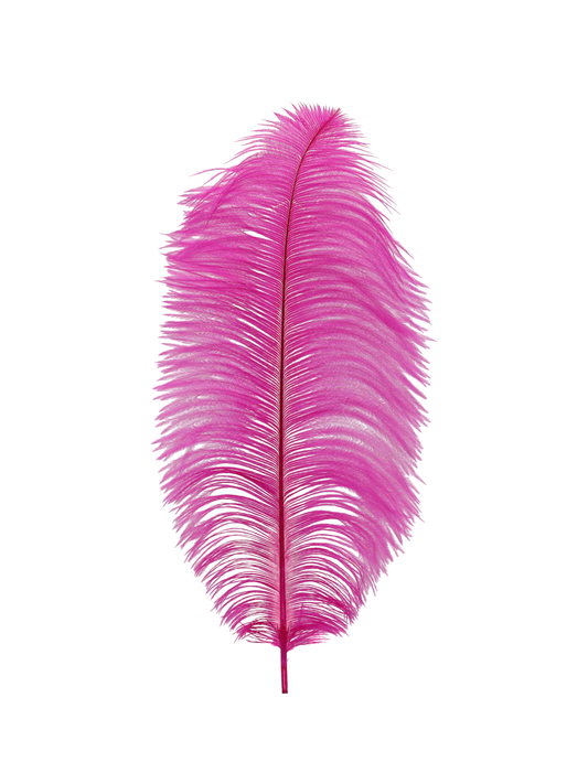 Ostrich Drabs 13-17" H69 Hot Pink