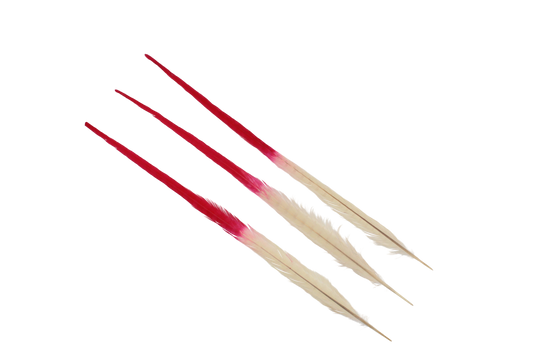 Pheasant Ringneck Bleached & Dyed 2 Tone 17-20" H72 Red & H33 Ivory