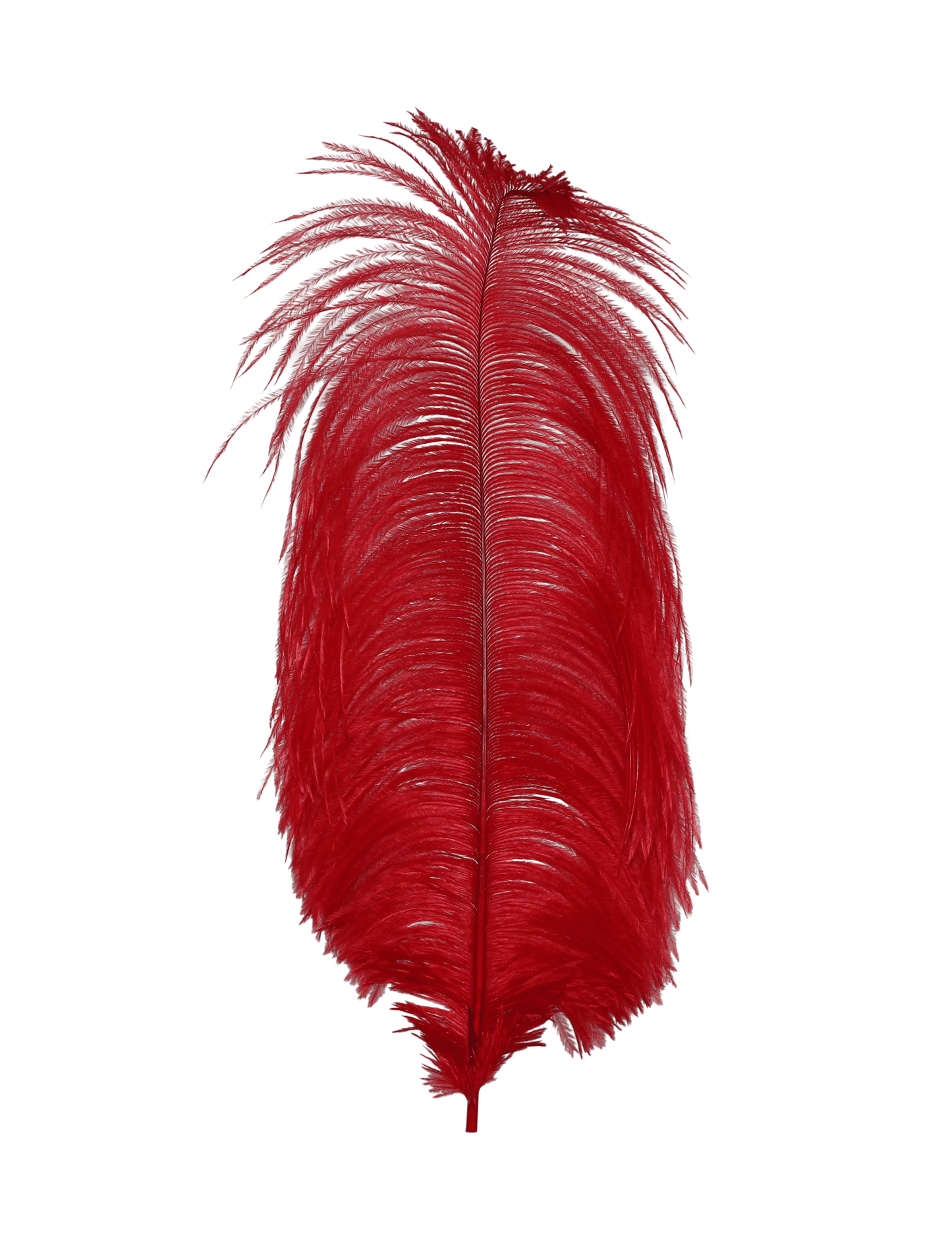 Ostrich Drabs 13-17" H72 Red