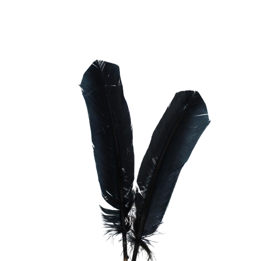 10-12” Turkey Quills H80 Black