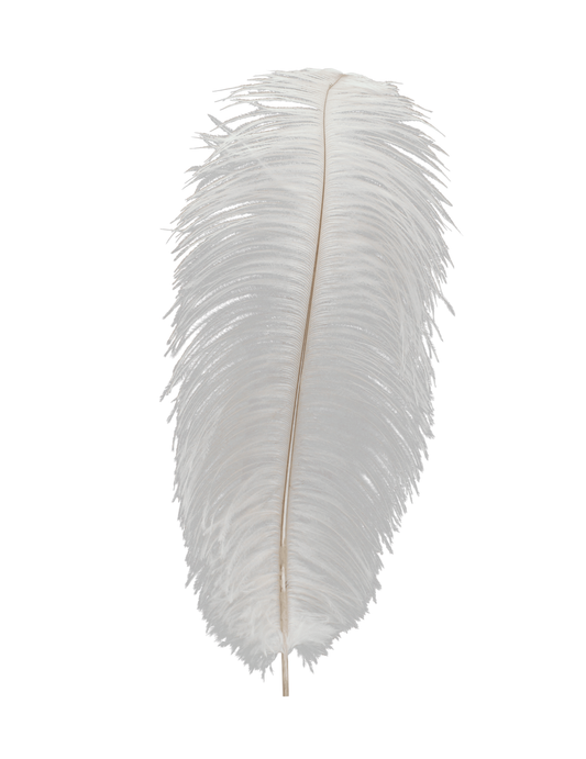 Ostrich Drabs 13-17" H81 White