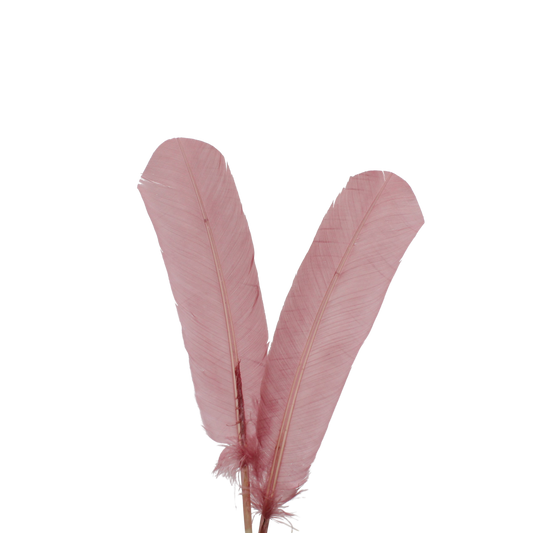 10-12” Turkey Quills H85 Dusty Rose