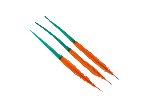 Pheasant Ringneck Bleached & Dyed 2 Tone 17-20" H87 Aquamarine & H62 Orange