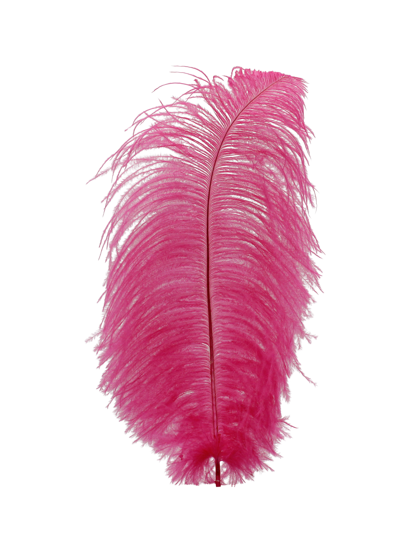 Ostrich Drabs 13-17" H92 Hot Pink