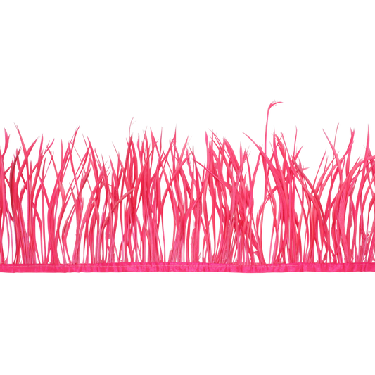 5-7" Goose Biots H66 Candy Pink