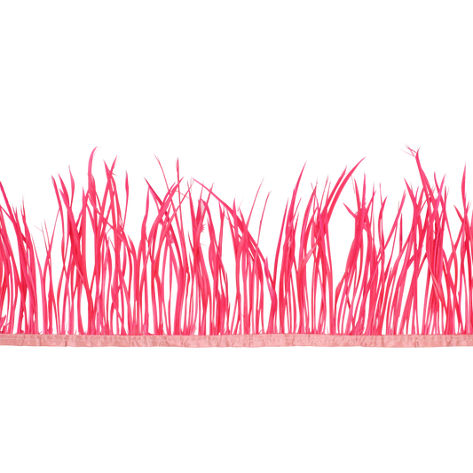 5-7" Goose Biots H67 Hot Pink