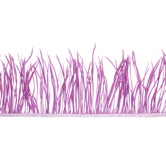 5-7" Goose Biots H74 Lilac