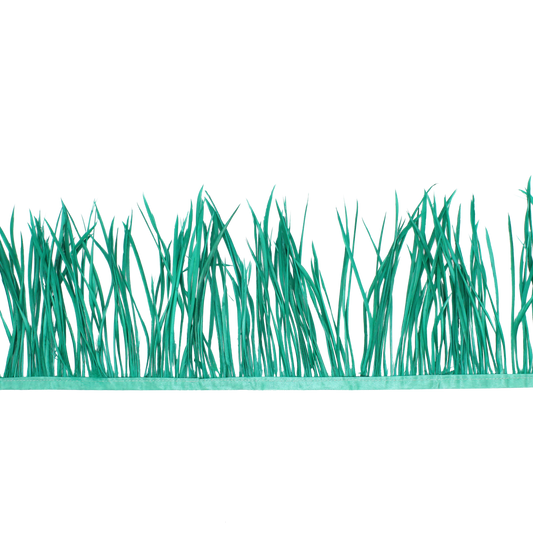 5-7" Goose Biots H87 Aquamarine