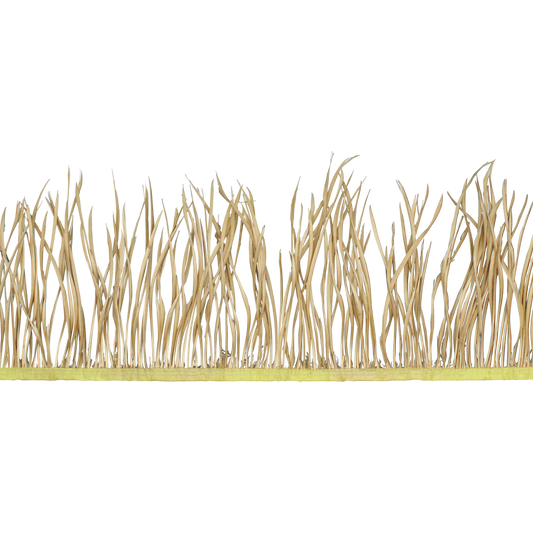 5-7" Goose Biots Metallic Gold