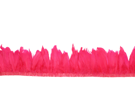 5-7" Goose Nagories Yards H67 Hot Pink