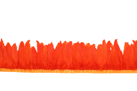 5-7" Goose Nagories Yards H104 Tangerine