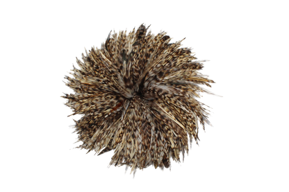 6-7" Rooster Saddles Natural