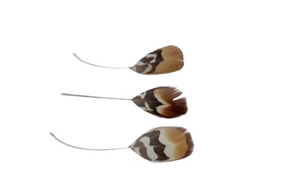 Golden Reeves Plumage Stripped