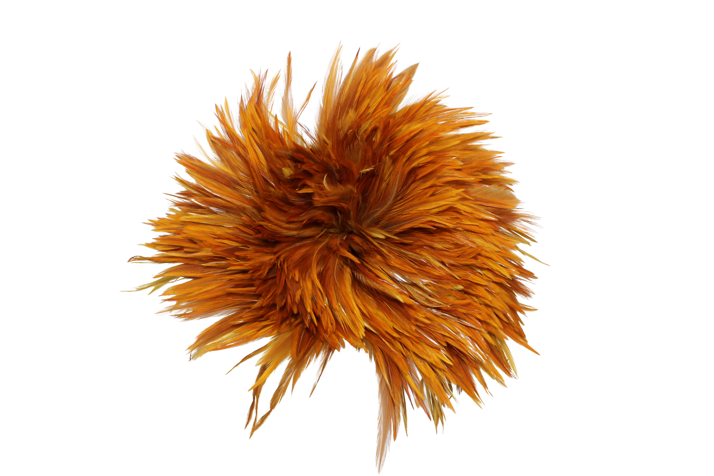 6-7" Rooster Saddles Overdyed Yellow H36