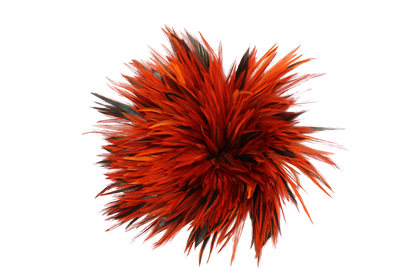 6-7" Rooster Saddles Overdyed Orange H62