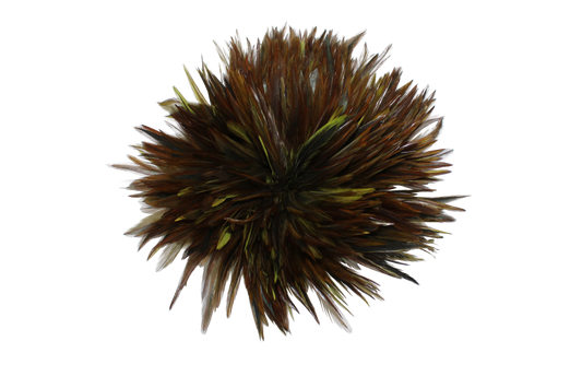 Saddles 6-7" Overdyed Strung H1 Olive