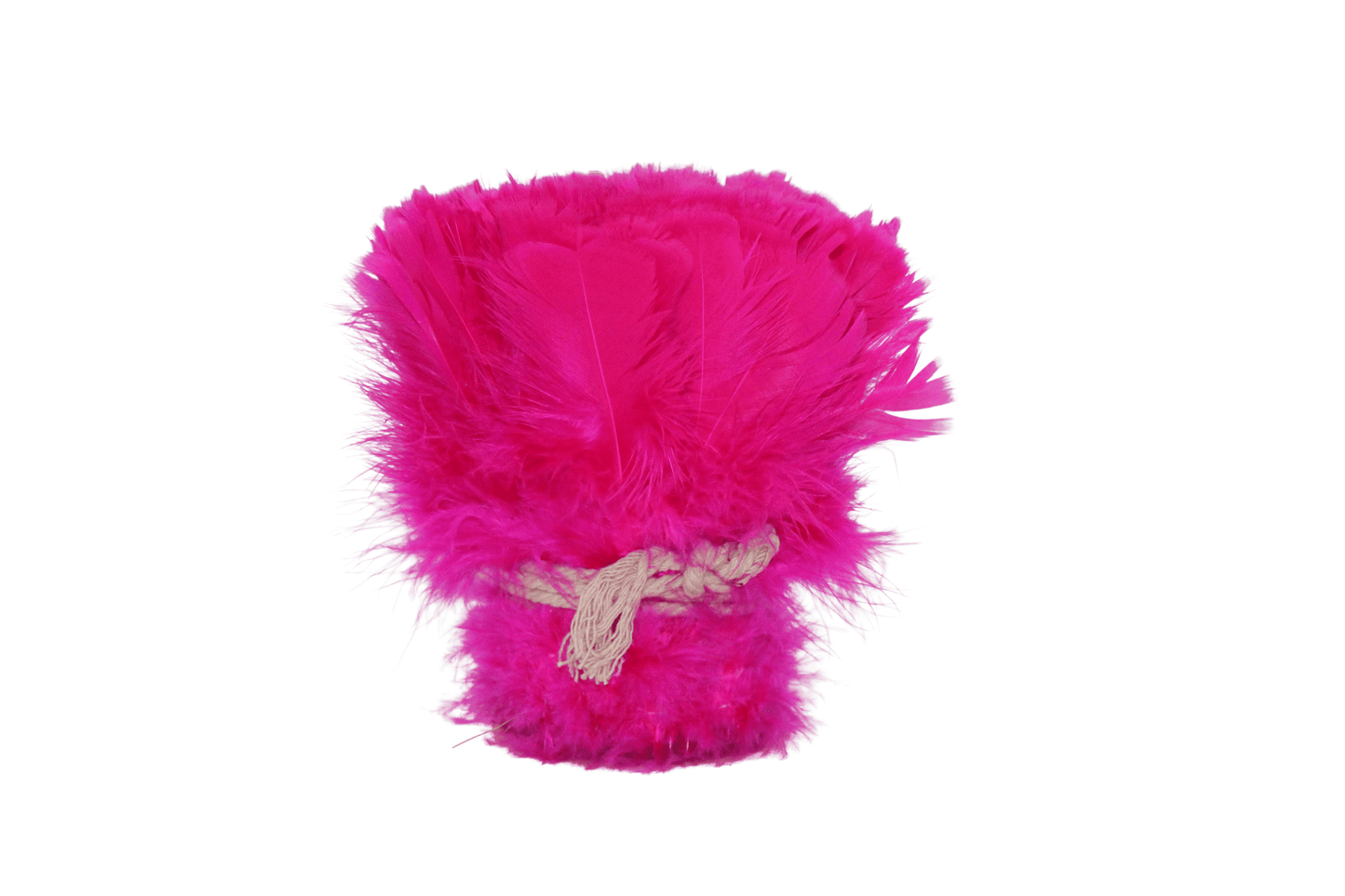 Turkey Flats H70 Fuschia
