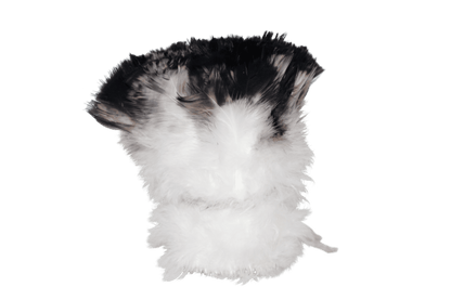 Turkey Flats Natural