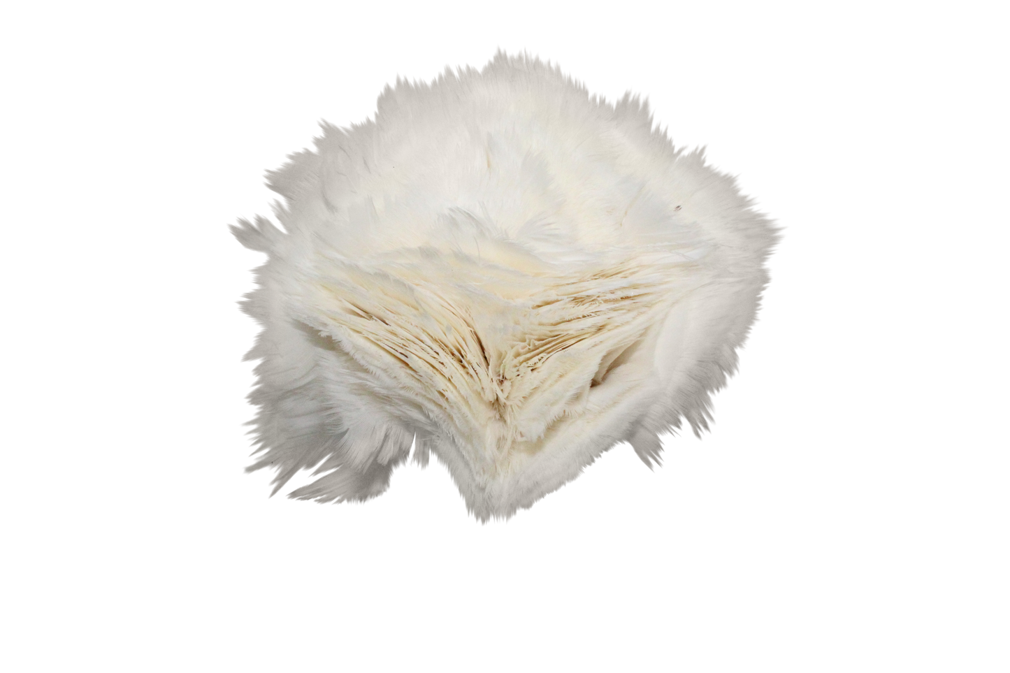 Turkey Flats H81 White