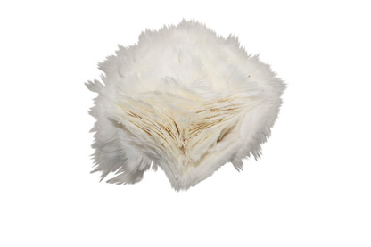 Turkey Flats H81 White