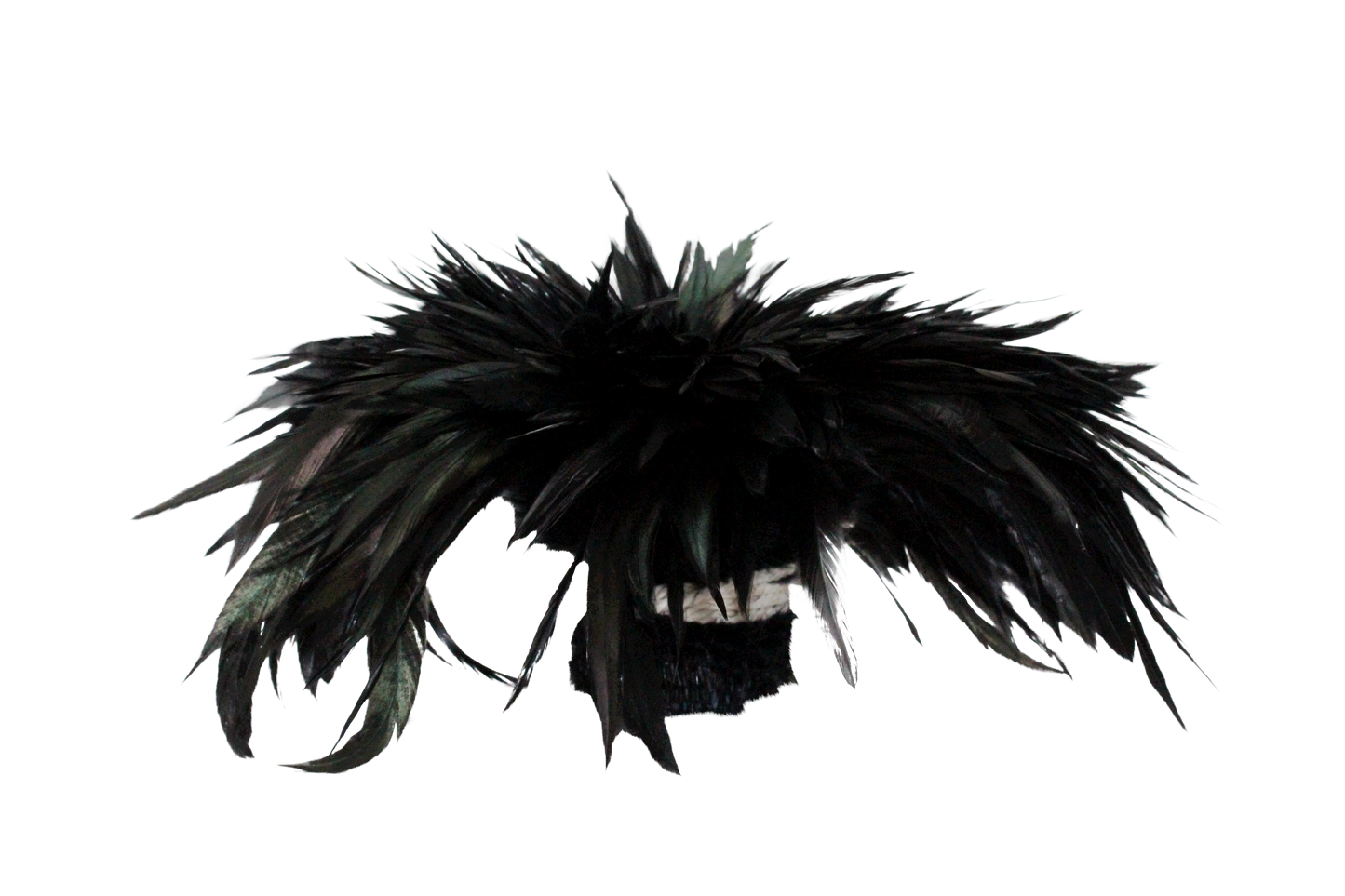 Saddles Pound Bleached & Dyed Black H80