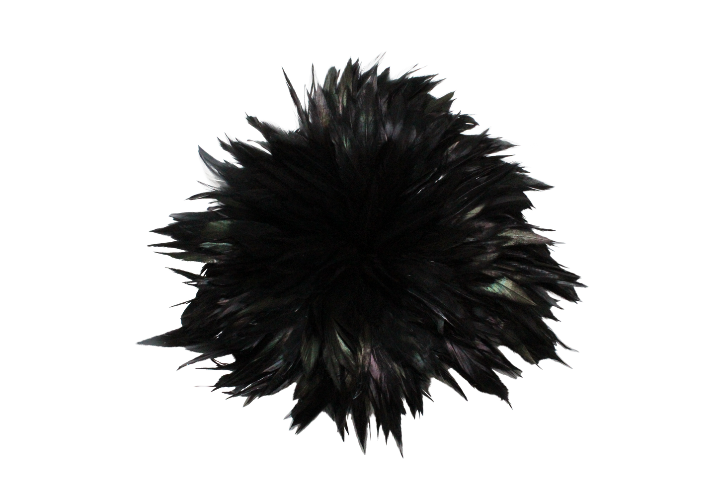 Saddles Pound Bleached & Dyed Black H80