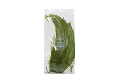 8-10" Coque Tail Feathers Olive H1 Bleached & Dyed