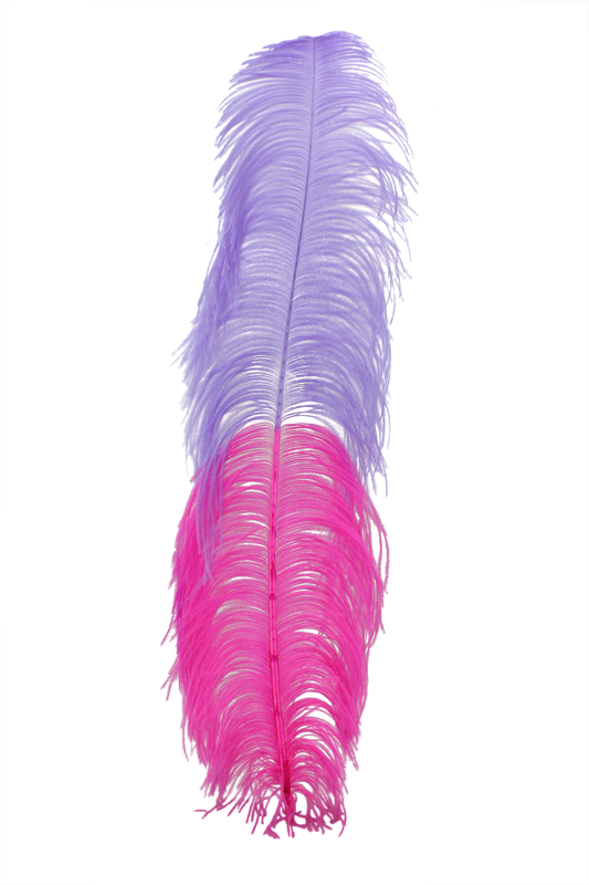 Ostrich Wing Plumes 2 Tone H89 Lavender & H69 Hot Pink