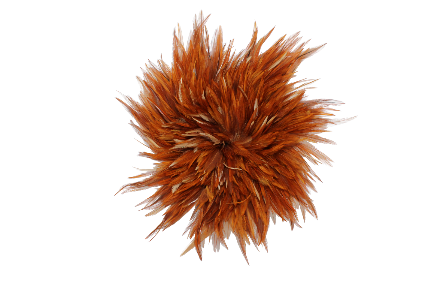 Natural Saddles Pounds 6–7"