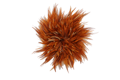 Natural Saddles Pounds 6–7"