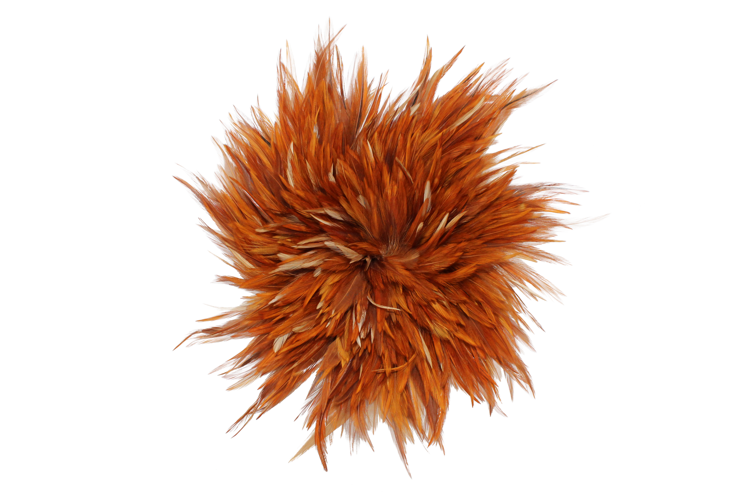 Natural Saddles Pounds 6–7"
