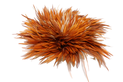 Natural Saddles Pounds 6–7"