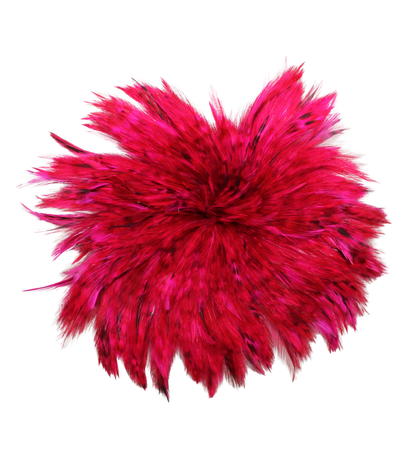 Grizzly Hackles Pounds 4-6" H70 Fuschia