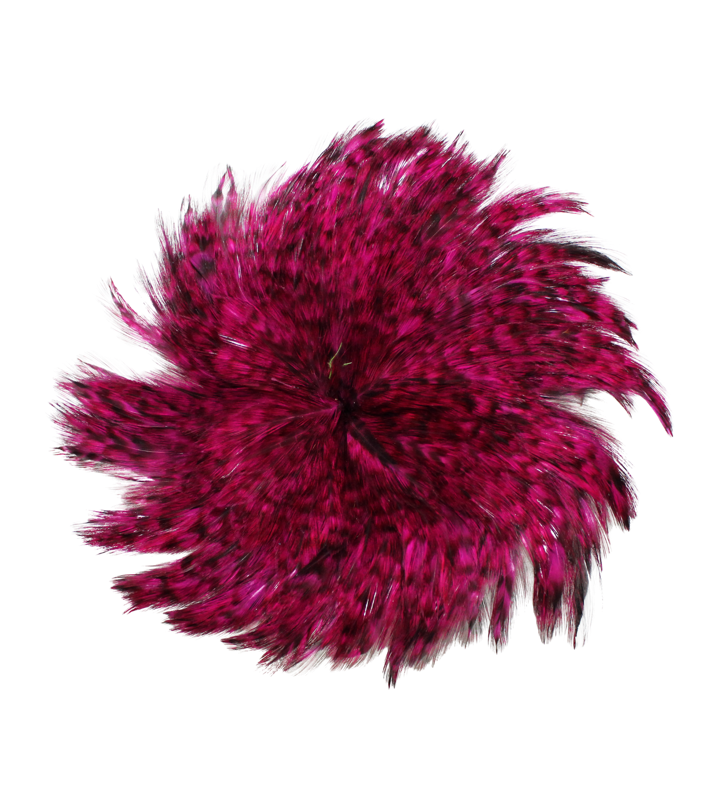 Grizzly Hackles Pounds 4-6" H103 Wine