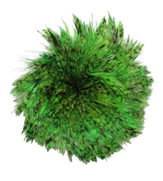 Grizzly Hackles Pounds 4-6" H101 Lime