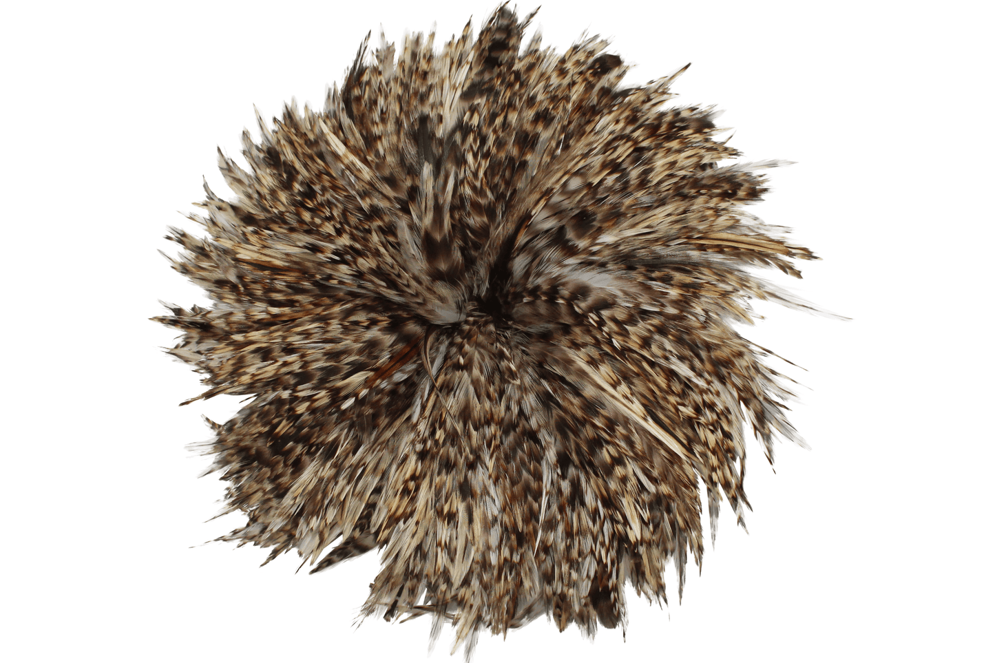 Saddles 6-7" Natural Strung