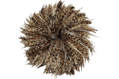 Saddles 6-7" Natural Strung