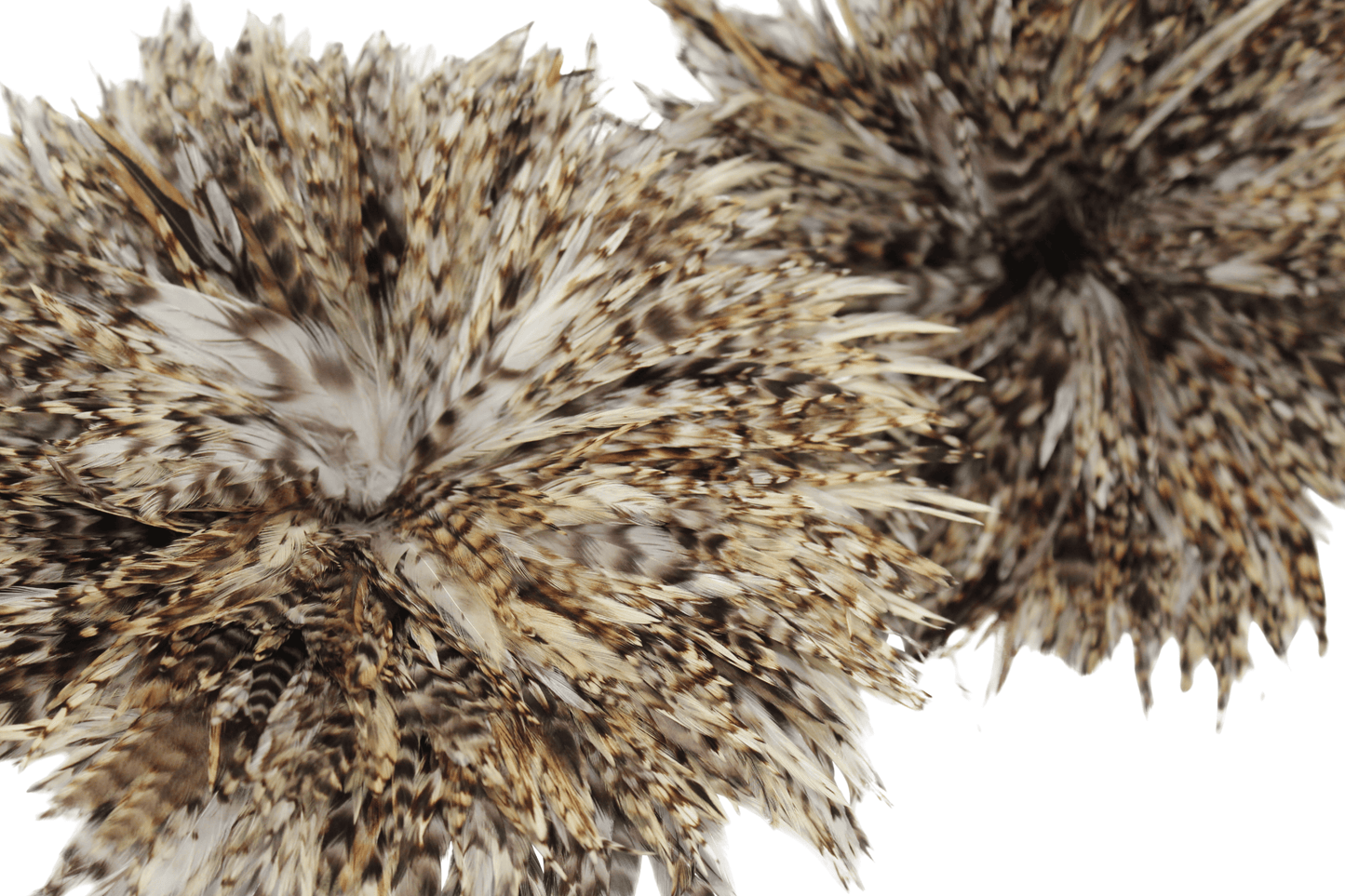 Saddles 6-7" Natural Strung