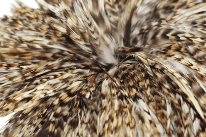 Saddles 6-7" Natural Strung