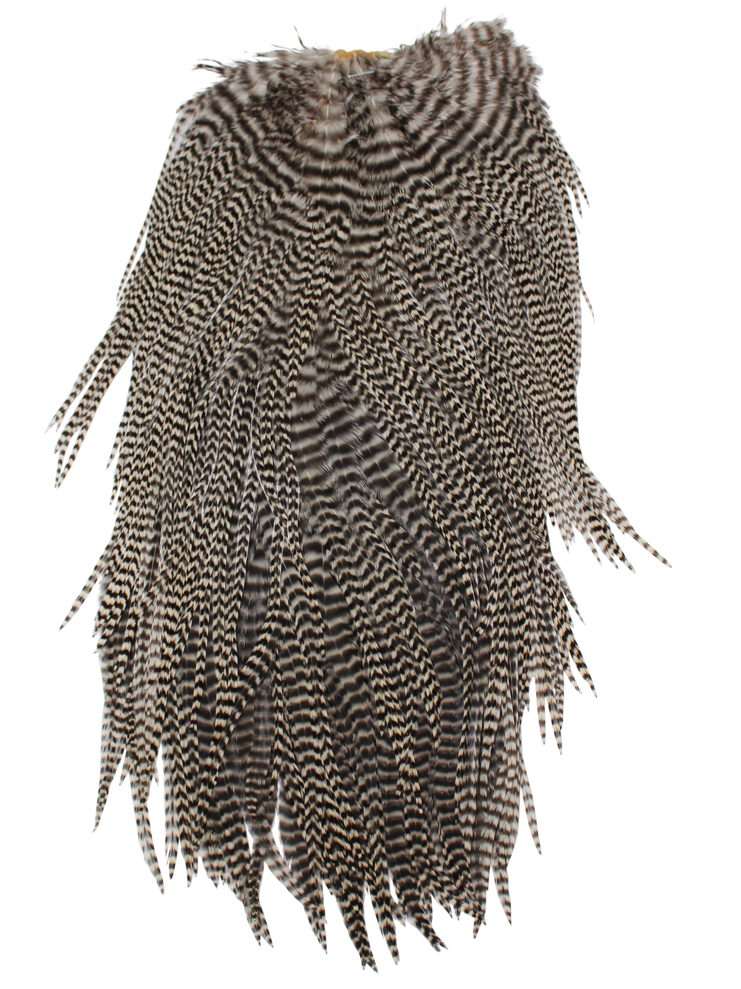 Grizzly Capes