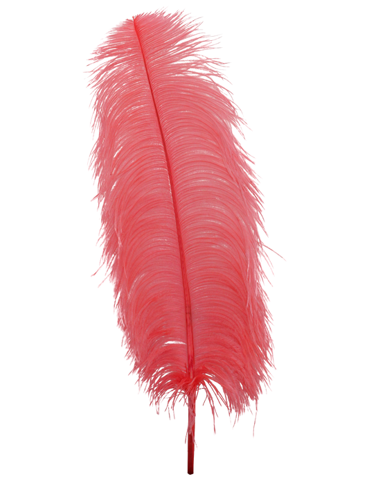 Ostrich Wing Plumes 1st Quality 20"+ H111 Coral