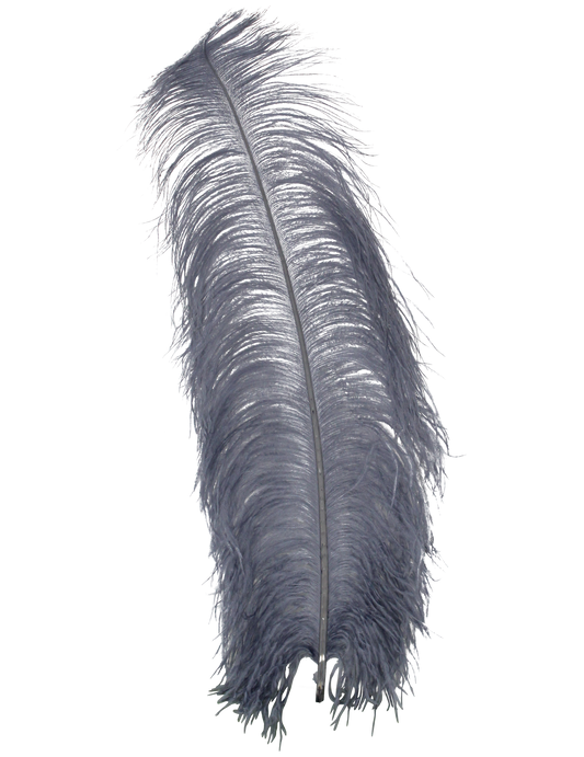 Ostrich Wing Plumes 1st Quality 20"+ H46 Grey